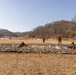 U.S. Marines Execute Live Fire Platoon Attacks During Korea Viper 25.2