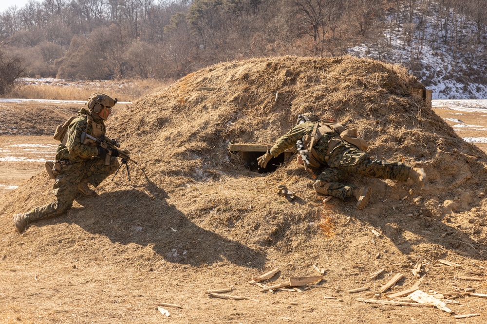 U.S. Marines Execute Live Fire Platoon Attacks During Korea Viper 25.2