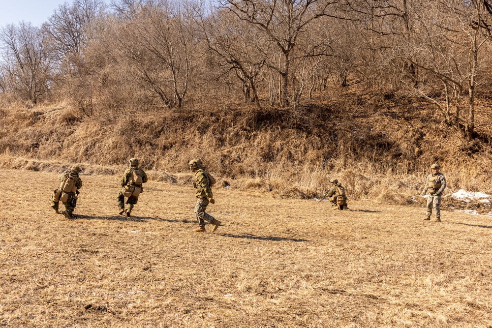 U.S. Marines Execute Live Fire Platoon Attacks During Korea Viper 25.2