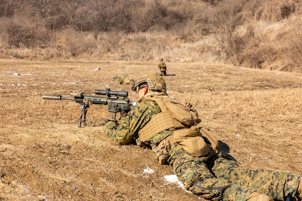 U.S. Marines Execute Live Fire Platoon Attacks During Korea Viper 25.2