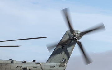 Marines sharpen tactical response skills in TRAP exercise