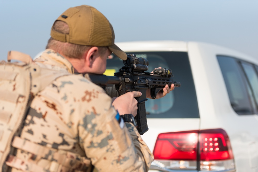 Coalition Forces Conduct Estonian-Led Battle Drills