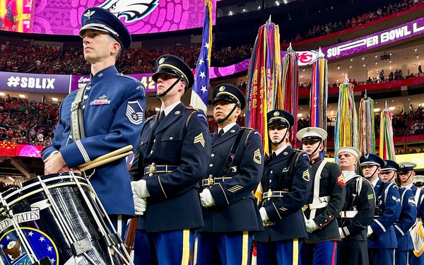 Super Bowl LIX