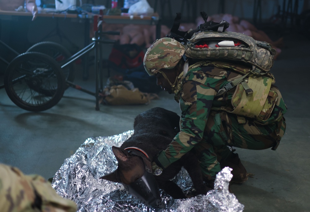 U.S. Army and Ghana Armed Forces medics conduct K9 Tactical Casualty Combat Care Lane