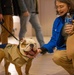 Chesty XVI attends the Westminster Kennel Club Dog Show