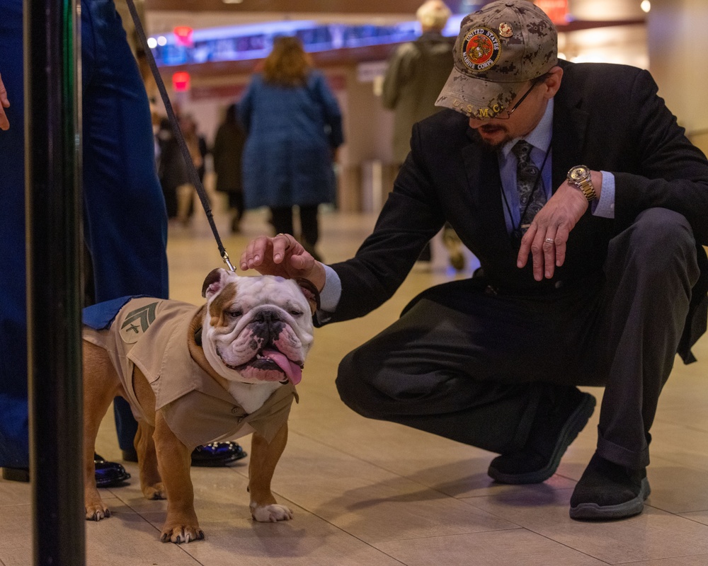 Chesty XVI attends the 149th Westminster Kennel Club Dog Show