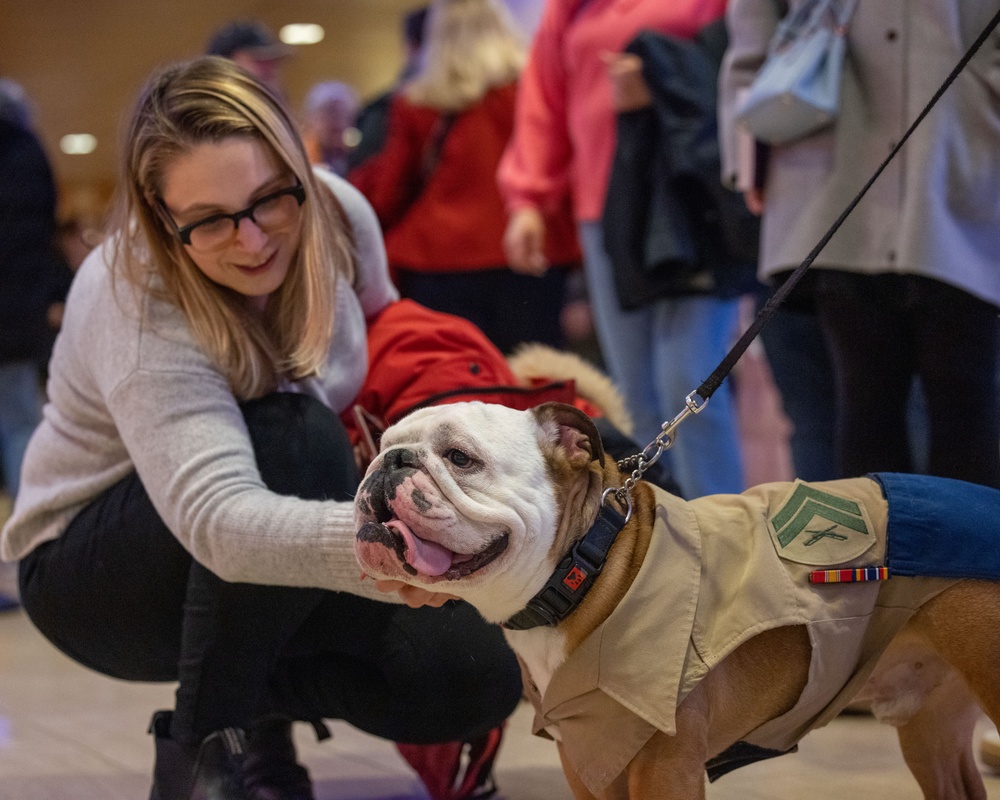 Chesty XVI attends the 149th Westminster Kennel Club Dog Show