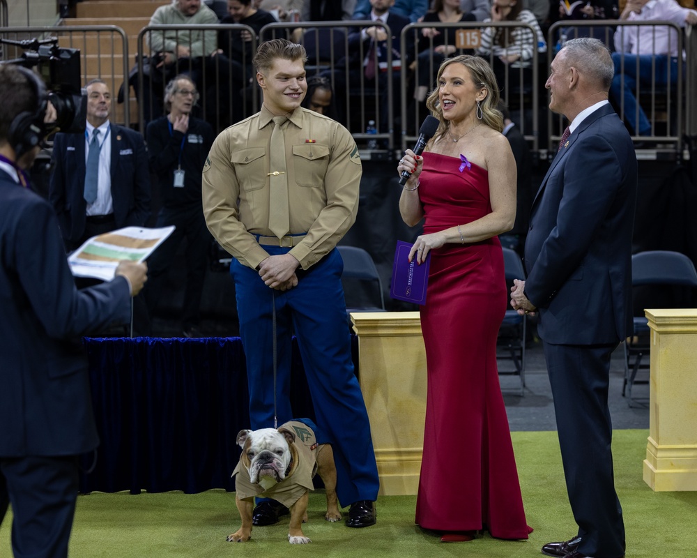 Chesty XVI attends the 149th Westminster Kennel Club Dog Show