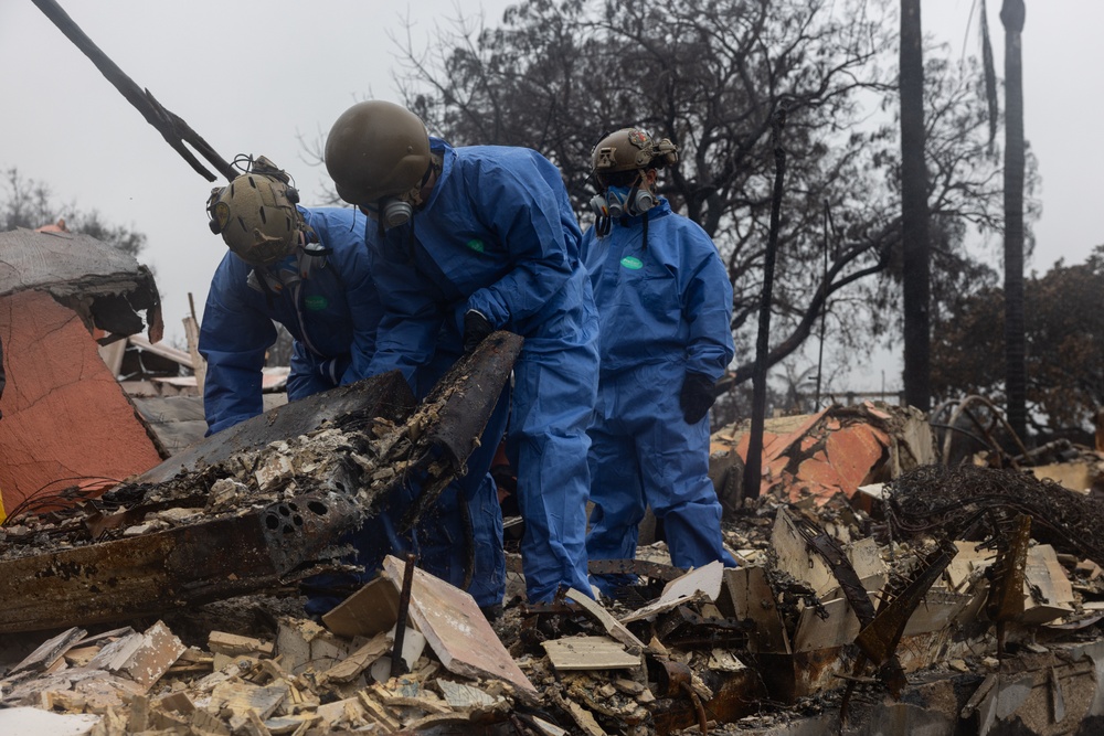 U.S. Marines arrive at Los Angeles wildfires for recovery efforts