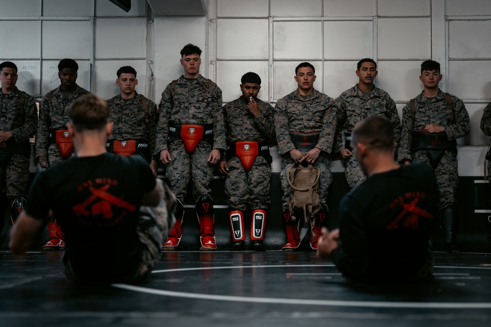 U.S. Marines take on martial arts instructor ‘level room’