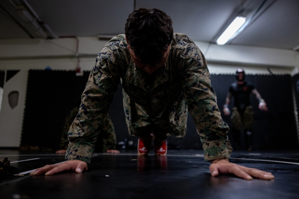 U.S. Marines take on martial arts instructor ‘level room’