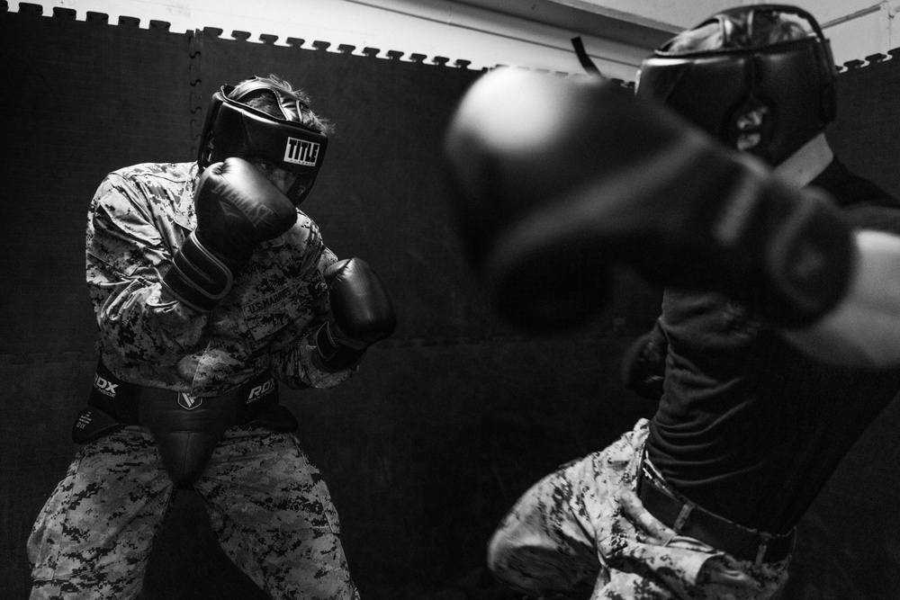 U.S. Marines take on martial arts instructor ‘level room’