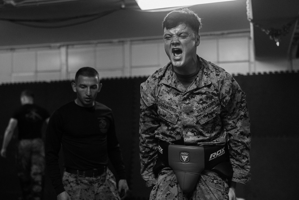 U.S. Marines take on martial arts instructor ‘level room’