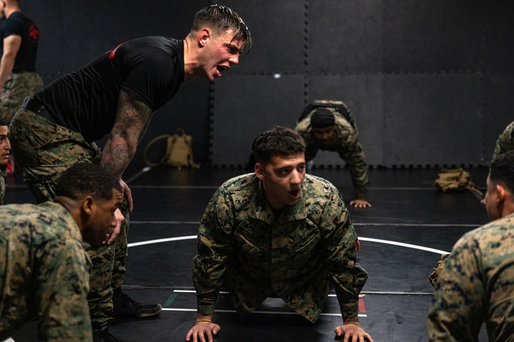 U.S. Marines take on martial arts instructor ‘level room’