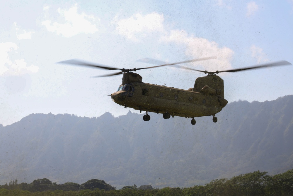 U.S. Marines and U.S. Army Soldiers train during a joint field exercise