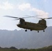 U.S. Marines and U.S. Army Soldiers train during a joint field exercise