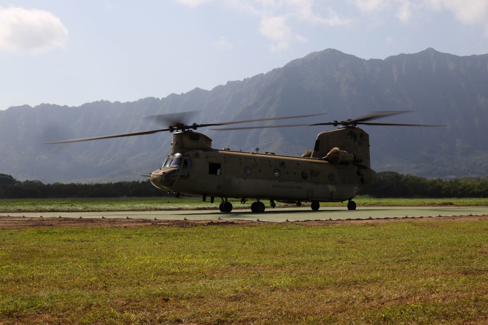 U.S. Marines and U.S. Army Soldiers train during a joint field exercise