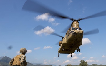 U.S. Marines and U.S. Army Soldiers train during a joint field exercise