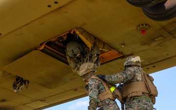 U.S. Marines and U.S. Army Soldiers train during a joint field exercise