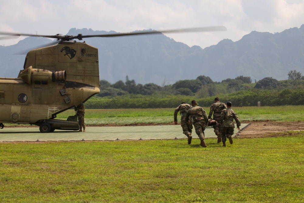 U.S. Marines and U.S. Army Soldiers train during a joint field exercise