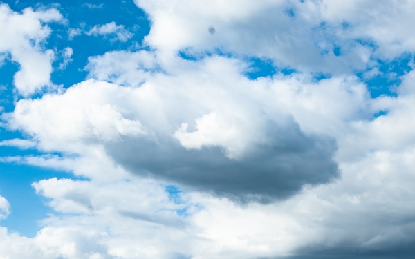 Hawaii Air National Guard and Joint Partners Enhance Combat Readiness for Sentry Aloha 25-1