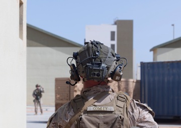 Intrepid Maven 25.2 MOUT Training