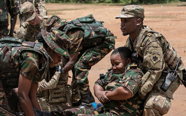 Justified Accord 2025 TCCC