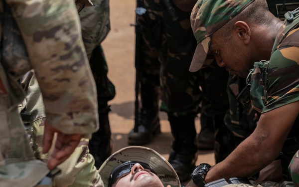 Justified Accord 2025