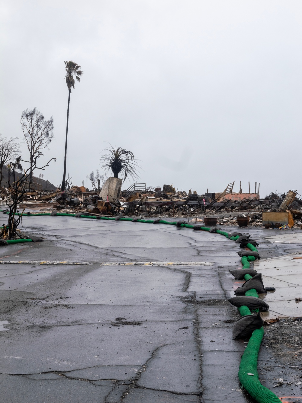 Soldiers remove hazardous wildfire waste in Pacific Palisades