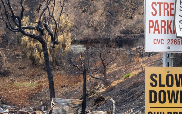 Soldiers remove hazardous wildfire waste in Pacific Palisades