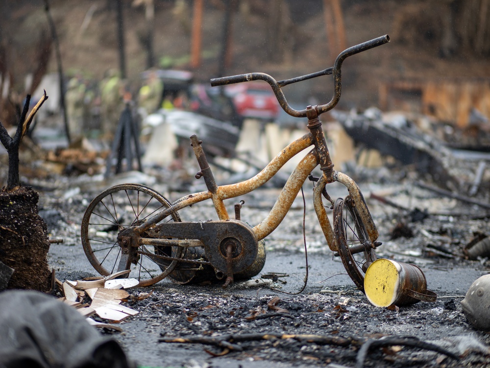 Soldiers remove hazardous wildfire waste in Pacific Palisades