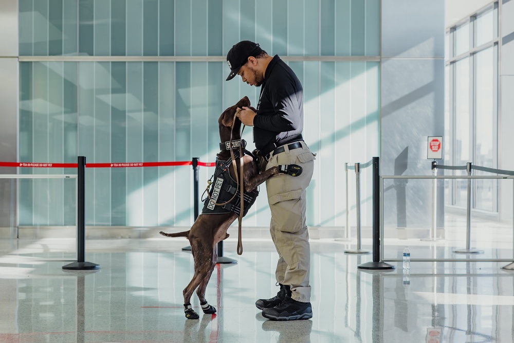 TSA Canine Team at IAD