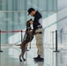 TSA Canine Team at IAD