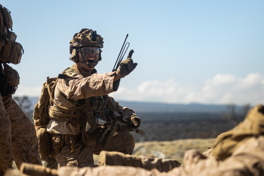 3d LCT Conducts Live-Fire Platoon Attacks at Pohakuloa