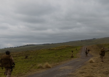 3d LCT| Force-on-Force Training with U.S. Army at Pohakuloa