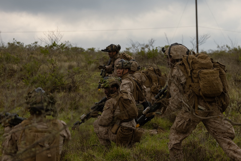 3d LCT| Force-on-Force Training with U.S. Army at Pohakuloa