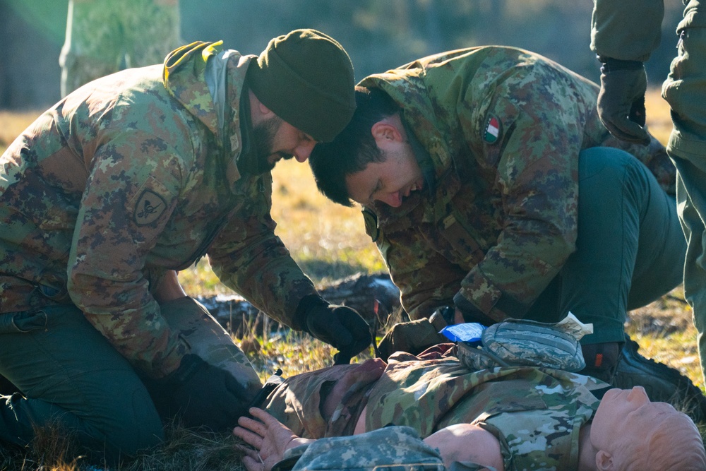 USAREUR-AF International Tank Challenge