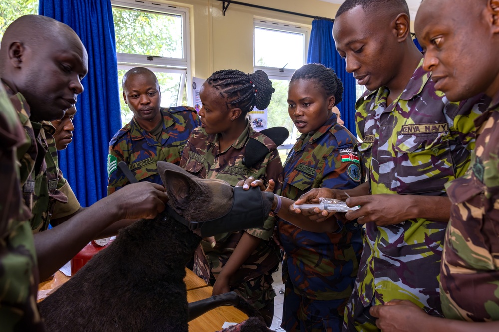 US, Kenya veterinarians share K9 IV best practices during Justified Accord