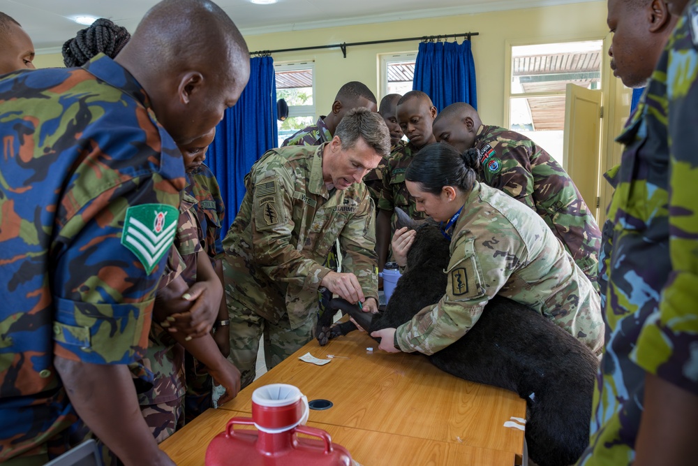 US, Kenya veterinarians share K9 IV best practices during Justified Accord