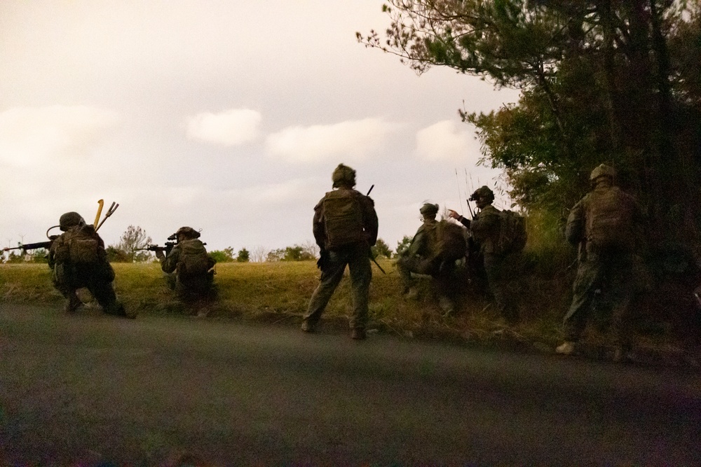 31st MEU | BLT 2/4 conducts Night TRAP Exercise