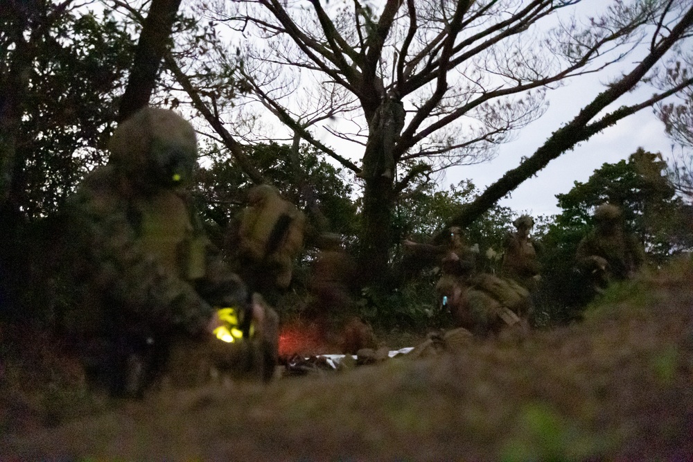 31st MEU | BLT 2/4 conducts Night TRAP Exercise