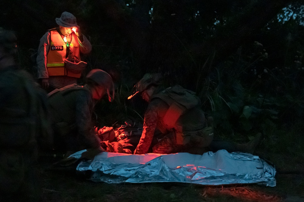 31st MEU | BLT 2/4 conducts Night TRAP Exercise