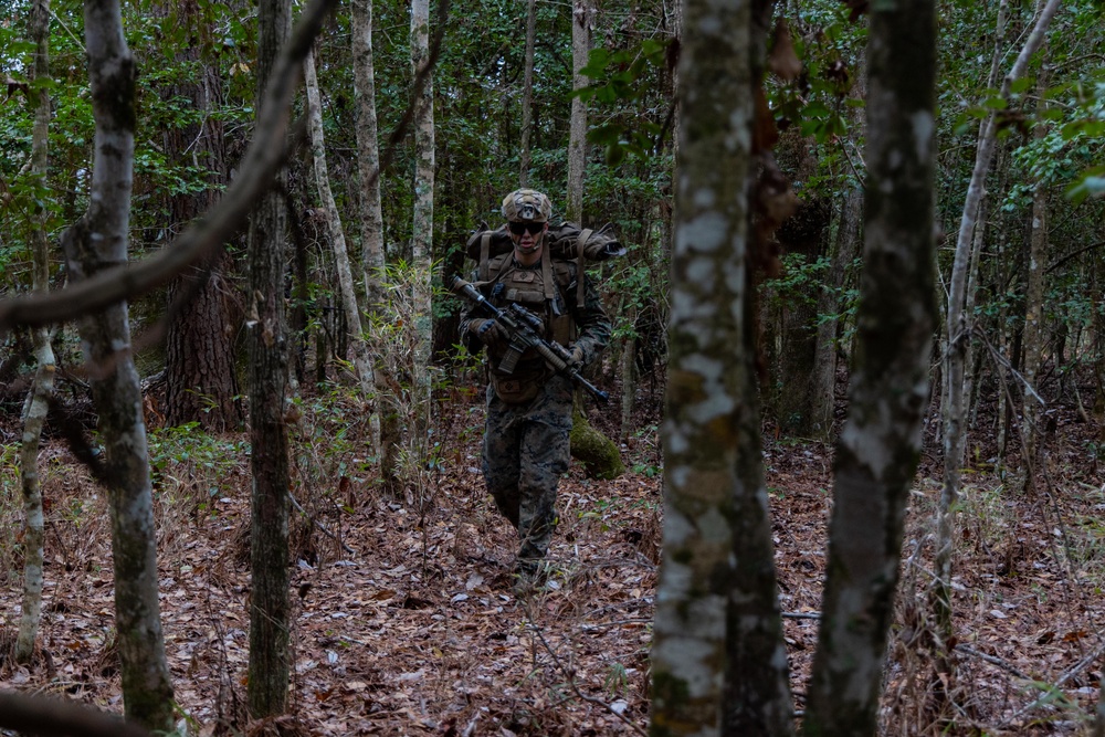 MAGTF Interop 3/6 Lima Co. Day Raid