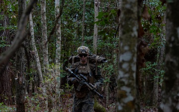 MAGTF Interop 3/6 Lima Co. Day Raid