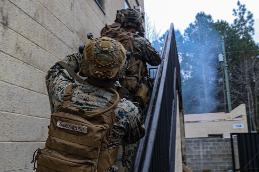 MAGTF Interop 3/6 Lima Co. Day Raid