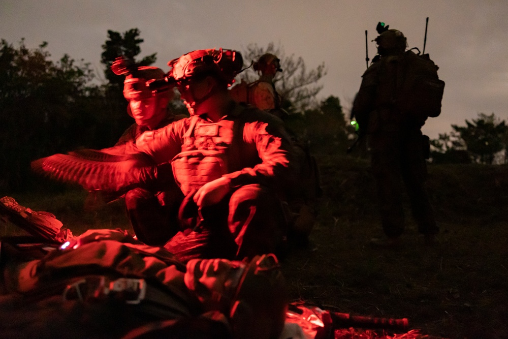 31st MEU | BLT 2/4 conducts Night TRAP Exercise