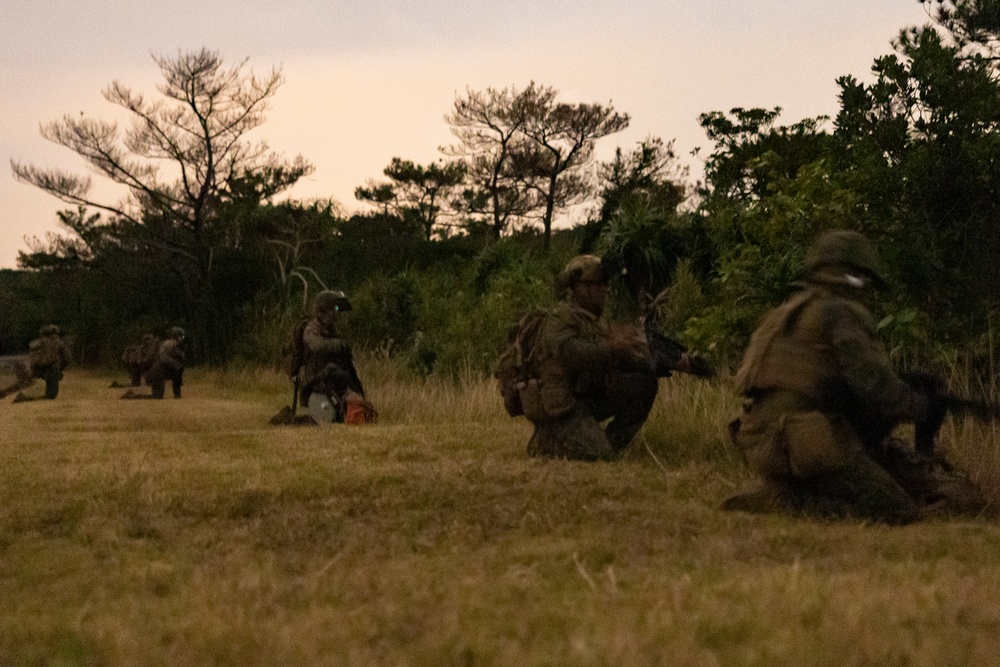 31st MEU | BLT 2/4 conducts Night TRAP Exercise