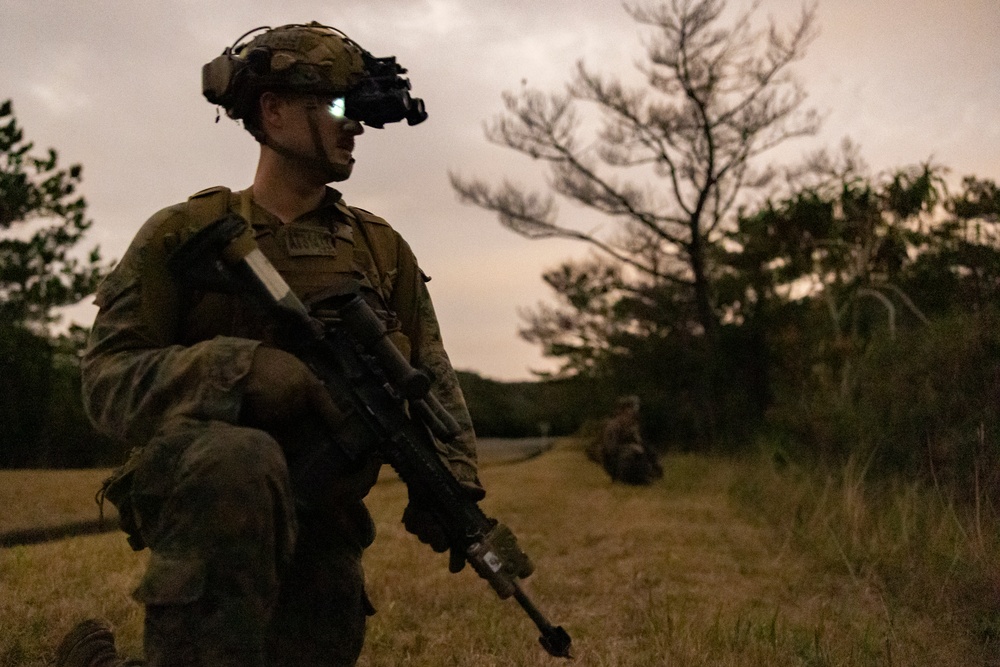 31st MEU | BLT 2/4 conducts Night TRAP Exercise