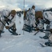 Exercise Joint Viking 25: Cold Weather Training