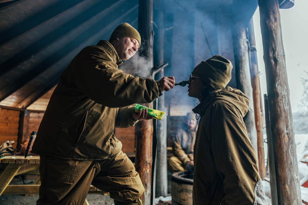 Exercise Joint Viking 25: Cold Weather Training